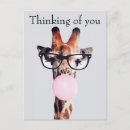 Search for bubblegum postcards Giraffe