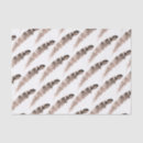 Search for thanksgiving tissue paper Friendsgiving