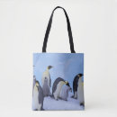 Search for antarctica bags Emperor penguin