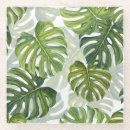 Search for monstera coasters Palm