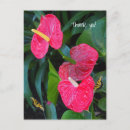 Search for planted postcards Red