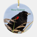 Search for wing christmas tree decorations Wildlife