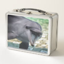 Search for dolphin lunch boxes Nature