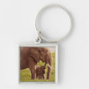 Search for getty key rings Animals