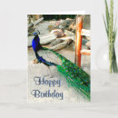 Search for included cards Birds