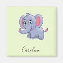 Search for green grey magnets Animal