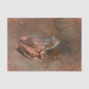 Search for frog tissue paper Nature