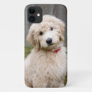 Search for goldendoodles iphone cases Animal
