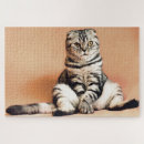Search for funny cat pictures puzzles Animal