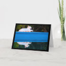 Search for white cats cards Felines