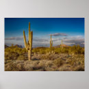 Search for superstition posters Nature