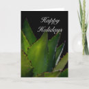 Search for succulents christmas cards Nature