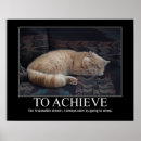 Search for cat dream posters Dreams