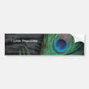 Search for feathers bumper stickers Peacock