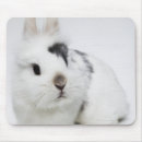 Search for brown rabbit mousepads Animals