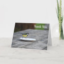 Search for feeding cards Photograph