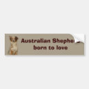Search for shepherd bumper stickers Aussie