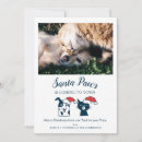 Search for funny dog and cat christmas cards Cute