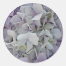 Search for lavender hydrangea stickers Flower