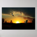 Search for grassy posters Sunset