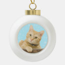 Search for ginger cat christmas tree decorations Cute