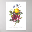 Search for flax posters Vintage