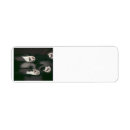 Search for tux return address labels Kitten