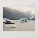 Search for blue ice postcards Ocean