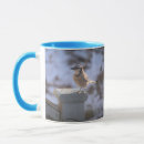 Search for blue jay mugs Avian
