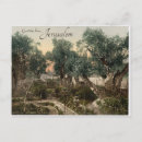 Search for mount of olives postcards Garden of gethsemane