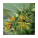 Search for sunflower tiles Sunshine