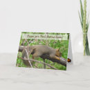 Search for funny feel better soon cards Squirrel