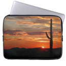Search for arizona sunset electronics Cactus