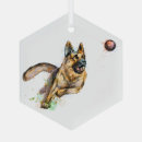 Search for playing christmas tree decorations dog