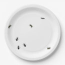 Search for ant plates Summer