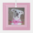 Search for eyes christmas tree decorations Puppy