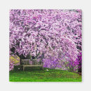 Search for bench magnets Garden
