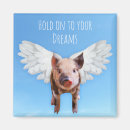 Search for pigs fly magnets Flying pig