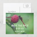 Search for dragonfly save the dates Nature