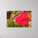 Search for pixel art Canvas