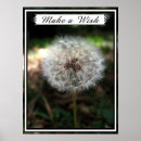 Search for dandelion art Puff