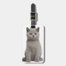 Search for british shorthair gifts Kitty