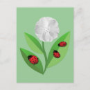 Search for beetles postcards Red