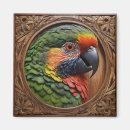 Search for lorikeet parrot magnets Rainbow