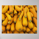 Search for zucchini art Nature