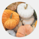 Search for gourd stickers Halloween