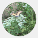 Search for pollinator stickers Butterfly