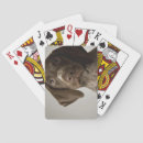 Search for puppy playing cards Brown