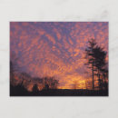 Search for dawn sky postcards Sunrise