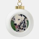 Search for upload christmas tree decorations Pet